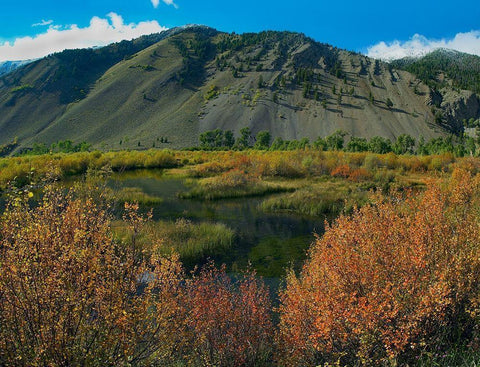 Boulder Mountains and Trail Creek beaver pond in autumn-Idaho Black Ornate Wood Framed Art Print with Double Matting by Fitzharris, Tim