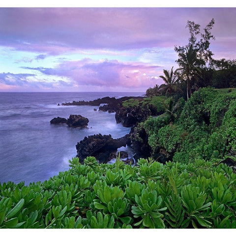 Hana Coast Maui Black Modern Wood Framed Art Print with Double Matting by Fitzharris, Tim