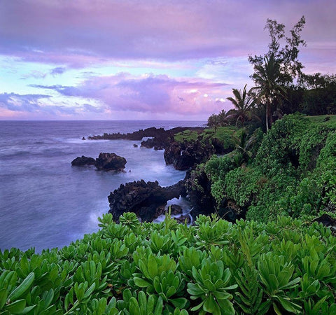 Hana Coast Maui White Modern Wood Framed Art Print with Double Matting by Fitzharris, Tim