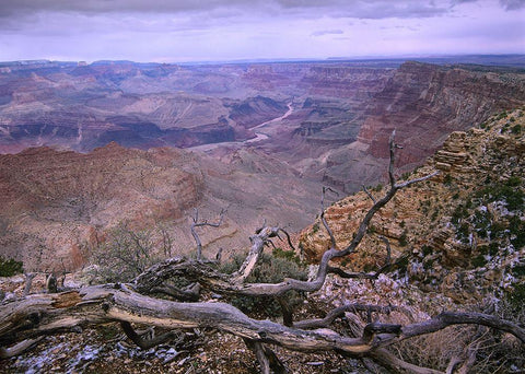 Colorado River from Desert View-Grand Canyon National Park-Arizona White Modern Wood Framed Art Print with Double Matting by Fitzharris, Tim