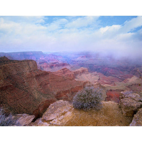 Moran Point-South Rim-Grand Canyon National Park-Arizona White Modern Wood Framed Art Print by Fitzharris, Tim