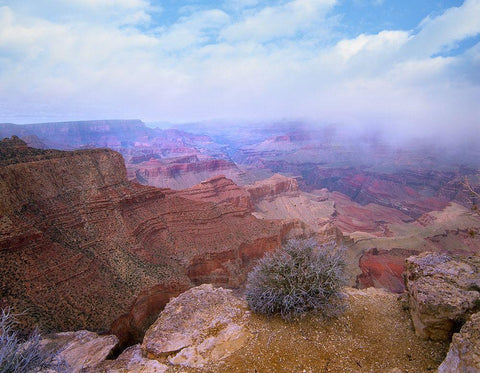 Moran Point-South Rim-Grand Canyon National Park-Arizona White Modern Wood Framed Art Print with Double Matting by Fitzharris, Tim