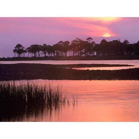 Saint George Island State Park-Saint George Island-Florida Black Modern Wood Framed Art Print by Fitzharris, Tim