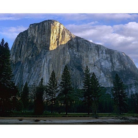 El Capitan at Yosemite Valley-Yosemite National Park-California Gold Ornate Wood Framed Art Print with Double Matting by Fitzharris, Tim