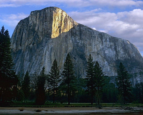 El Capitan at Yosemite Valley-Yosemite National Park-California White Modern Wood Framed Art Print with Double Matting by Fitzharris, Tim