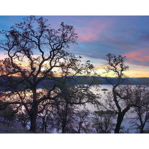 Melones Lake-Calaveras County-California Black Modern Wood Framed Art Print with Double Matting by Fitzharris, Tim