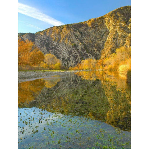 Mountains Reflected in Santa Ynez River-California Black Modern Wood Framed Art Print with Double Matting by Fitzharris, Tim