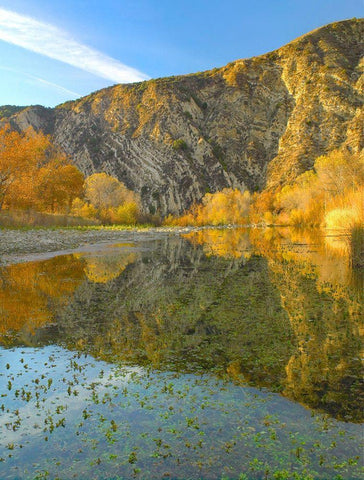 Mountains Reflected in Santa Ynez River-California Black Ornate Wood Framed Art Print with Double Matting by Fitzharris, Tim