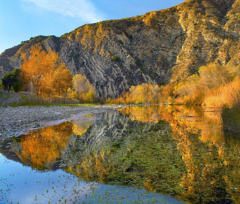 Santa Ynez Mountains Reflected in Santa Ynez River-California Black Ornate Wood Framed Art Print with Double Matting by Fitzharris, Tim