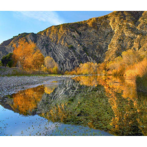 Santa Ynez Mountains Reflected in Santa Ynez River-California Gold Ornate Wood Framed Art Print with Double Matting by Fitzharris, Tim