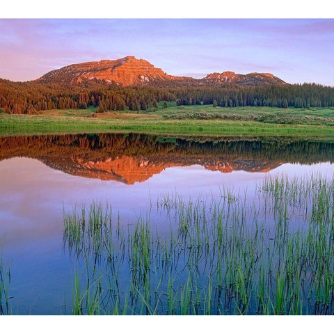 Tripod Peak at Togwotee Pass-Wyoming Black Modern Wood Framed Art Print by Fitzharris, Tim