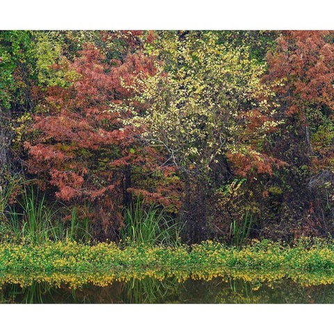 Wilton Landing-Millwood Lake-Arkansas Black Modern Wood Framed Art Print with Double Matting by Fitzharris, Tim