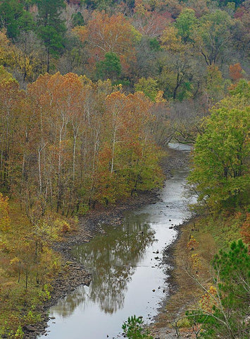 Cassatot River near Millwood Lake-Arkansas Black Ornate Wood Framed Art Print with Double Matting by Fitzharris, Tim