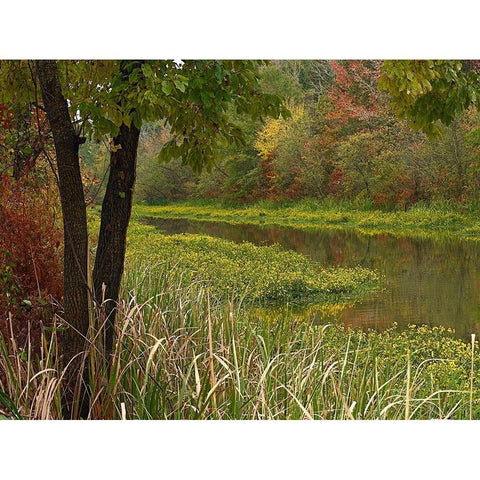 Wilton Landing at Millwood Lake-Arkansas Black Modern Wood Framed Art Print with Double Matting by Fitzharris, Tim