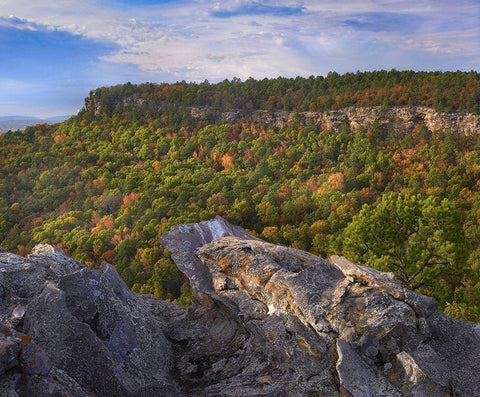 Cedar Canyon at Palisades Overlook-Petit Jean State Park-Arkansas White Modern Wood Framed Art Print with Double Matting by Fitzharris, Tim