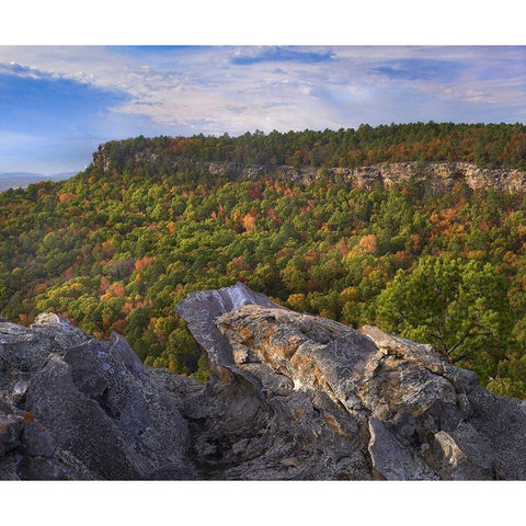 Cedar Canyon at Palisades Overlook-Petit Jean State Park-Arkansas Black Modern Wood Framed Art Print with Double Matting by Fitzharris, Tim