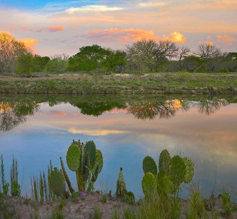 South Llano River State Park-Texas. Black Ornate Wood Framed Art Print with Double Matting by Fitzharris, Tim