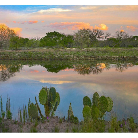 South Llano River State Park-Texas. Gold Ornate Wood Framed Art Print with Double Matting by Fitzharris, Tim