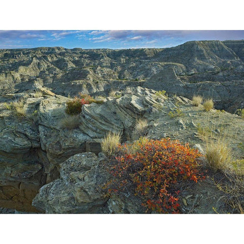 Makoshika State Park-Montana White Modern Wood Framed Art Print by Fitzharris, Tim