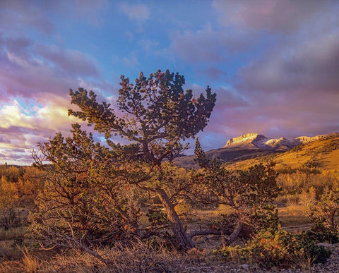 Flathead Range-Montana White Modern Wood Framed Art Print with Double Matting by Fitzharris, Tim