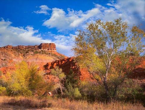 Sorensen Point-Palo Duro Canyon State Park-Texas Black Ornate Wood Framed Art Print with Double Matting by Fitzharris, Tim