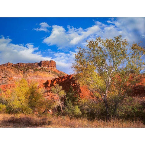 Sorensen Point-Palo Duro Canyon State Park-Texas White Modern Wood Framed Art Print by Fitzharris, Tim