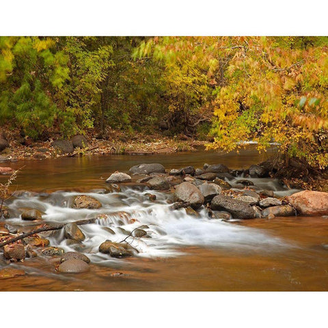 Oak Creek in autumn near Sedona-Arizona Gold Ornate Wood Framed Art Print with Double Matting by Fitzharris, Tim