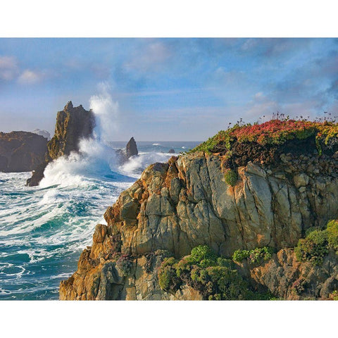 Pounding Waves at Piedras Blancas-California Black Modern Wood Framed Art Print with Double Matting by Fitzharris, Tim