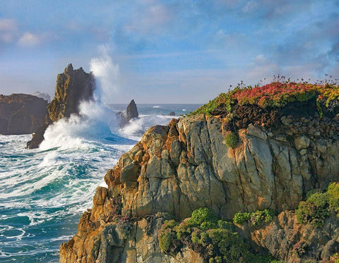 Pounding Waves at Piedras Blancas-California Black Ornate Wood Framed Art Print with Double Matting by Fitzharris, Tim