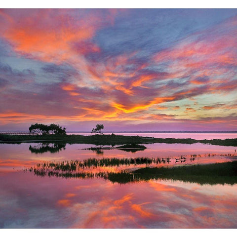 Padre Island National Seashore-Texas-USA Black Modern Wood Framed Art Print with Double Matting by Fitzharris, Tim