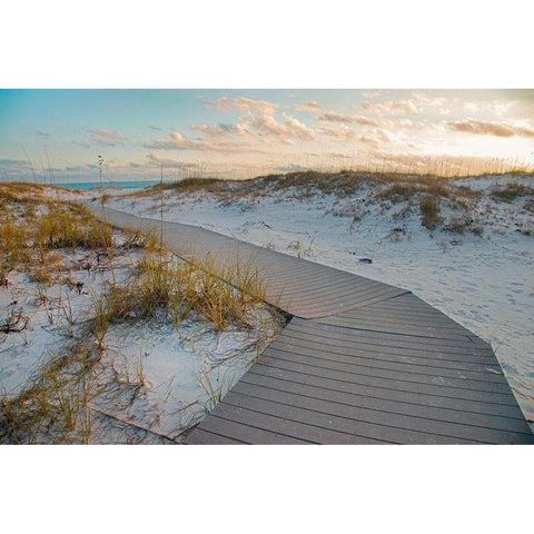 Boardwalk at Gulf Islands National Seashore-Florida Gold Ornate Wood Framed Art Print with Double Matting by Fitzharris, Tim