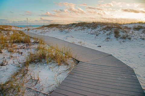 Boardwalk at Gulf Islands National Seashore-Florida Black Ornate Wood Framed Art Print with Double Matting by Fitzharris, Tim