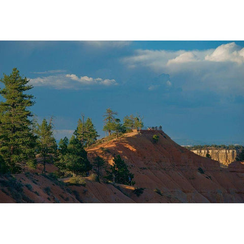 Sunset Point-Bryce Canyon National Park-Utah Gold Ornate Wood Framed Art Print with Double Matting by Fitzharris, Tim
