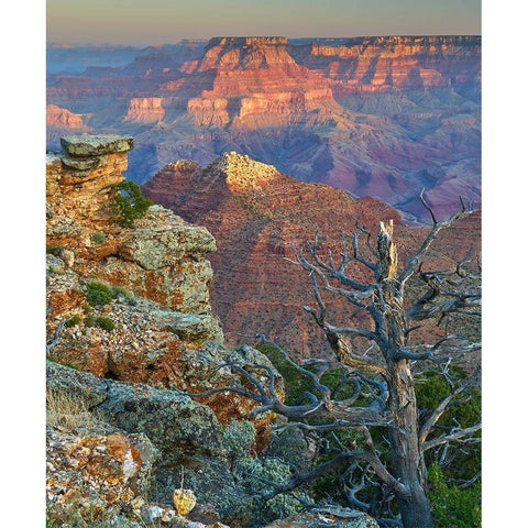 Desert View Overlook-Grand Canyon National Park-Arizona-USA White Modern Wood Framed Art Print by Fitzharris, Tim