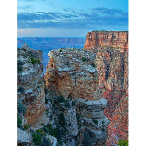 Mather Point-Grand Canyon National Park-Arizona White Modern Wood Framed Art Print by Fitzharris, Tim