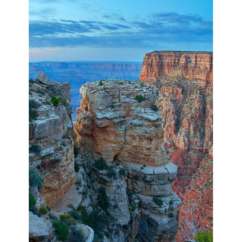 Mather Point-Grand Canyon National Park-Arizona Black Modern Wood Framed Art Print with Double Matting by Fitzharris, Tim