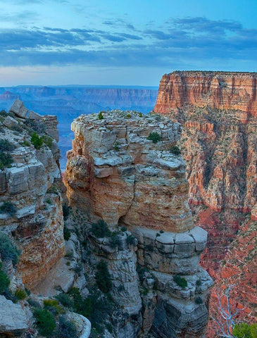 Mather Point-Grand Canyon National Park-Arizona Black Ornate Wood Framed Art Print with Double Matting by Fitzharris, Tim