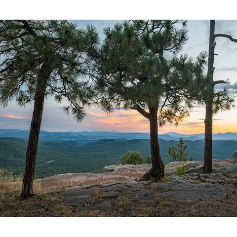 Mazatzal Wilderness-Coconino National Forest-Arizona Black Modern Wood Framed Art Print with Double Matting by Fitzharris, Tim