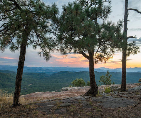 Mazatzal Wilderness-Coconino National Forest-Arizona Black Ornate Wood Framed Art Print with Double Matting by Fitzharris, Tim