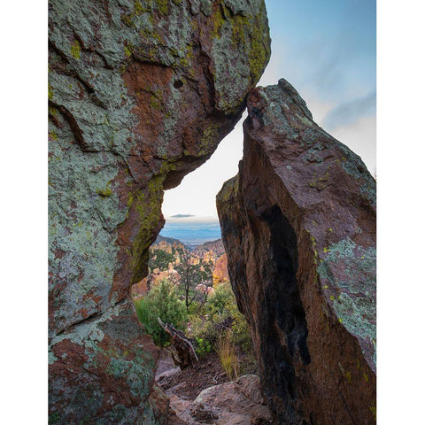 Echo Canyon Trail Chiricahua National Monument-Arizona-USA Gold Ornate Wood Framed Art Print with Double Matting by Fitzharris, Tim