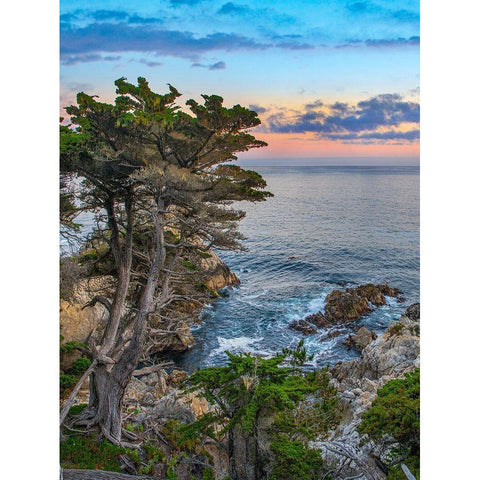 Pescdero Point-17-mile drive-Pebble-Beach-California-USA White Modern Wood Framed Art Print by Fitzharris, Tim