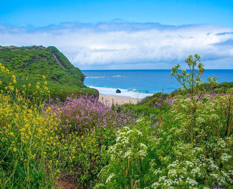 Garrapata Stare Park-Big Sur-California-USA Black Ornate Wood Framed Art Print with Double Matting by Fitzharris, Tim