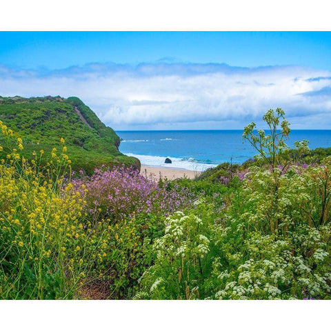 Garrapata Stare Park-Big Sur-California-USA Black Modern Wood Framed Art Print with Double Matting by Fitzharris, Tim