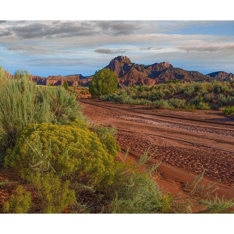 Vermillion Cliffs National Monument-Arizona-USA Gold Ornate Wood Framed Art Print with Double Matting by Fitzharris, Tim