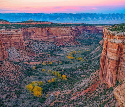 Ute Canyon-Colorado National Monument-Colorado White Modern Wood Framed Art Print with Double Matting by Fitzharris, Tim