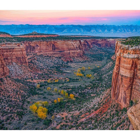 Ute Canyon-Colorado National Monument-Colorado White Modern Wood Framed Art Print by Fitzharris, Tim