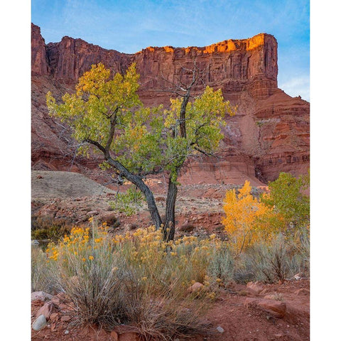 Sandstone Cliffs at Porcupine Canyon-Utah Gold Ornate Wood Framed Art Print with Double Matting by Fitzharris, Tim