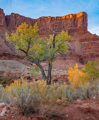 Sandstone Cliffs at Porcupine Canyon-Utah Black Ornate Wood Framed Art Print with Double Matting by Fitzharris, Tim