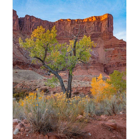 Sandstone Cliffs at Porcupine Canyon-Utah Black Modern Wood Framed Art Print with Double Matting by Fitzharris, Tim