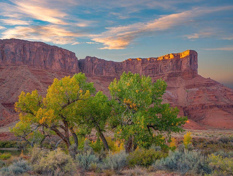 Sandstone Cliffs at Porcupine Canyon-Utah White Modern Wood Framed Art Print with Double Matting by Fitzharris, Tim